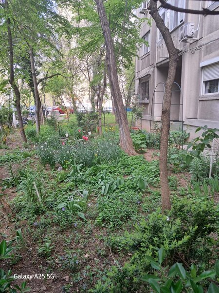 Drumul Taberei, Hanul Drumetului.